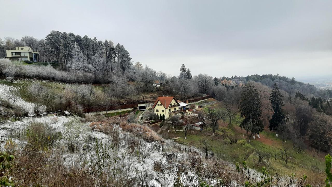Apartament Matei Braşov Extérieur photo