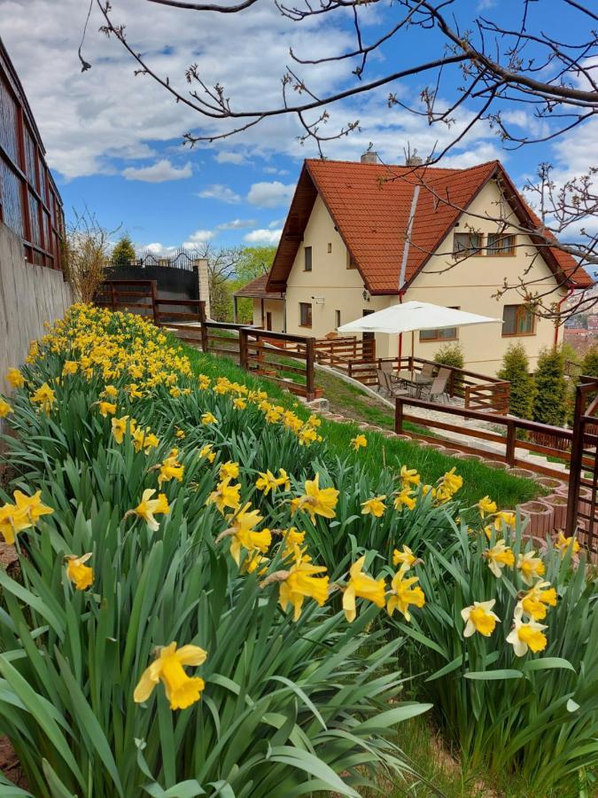 Apartament Matei Braşov Extérieur photo