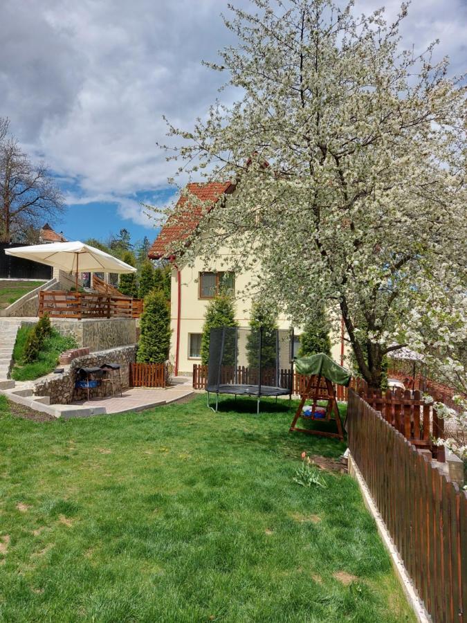 Apartament Matei Braşov Extérieur photo